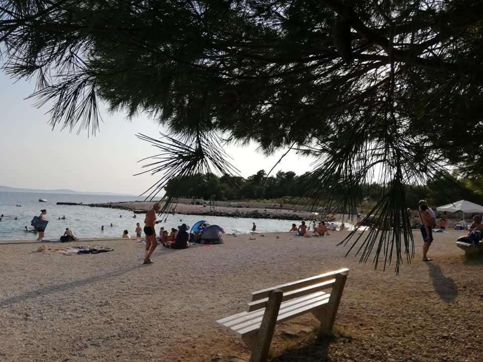 Apartman Zlata Vir Bagian luar foto