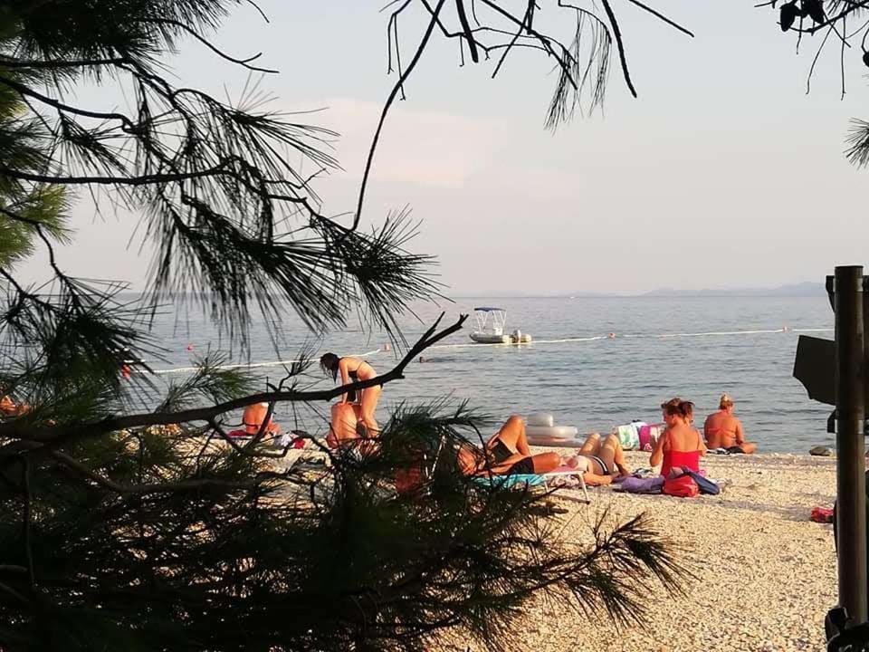 Apartman Zlata Vir Bagian luar foto